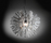 Creatures | Slamp